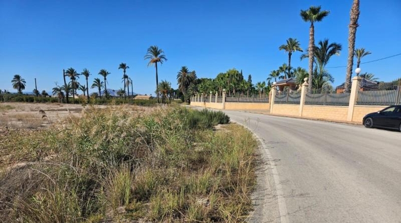 Murcia - Mazarrón - 19000m2
