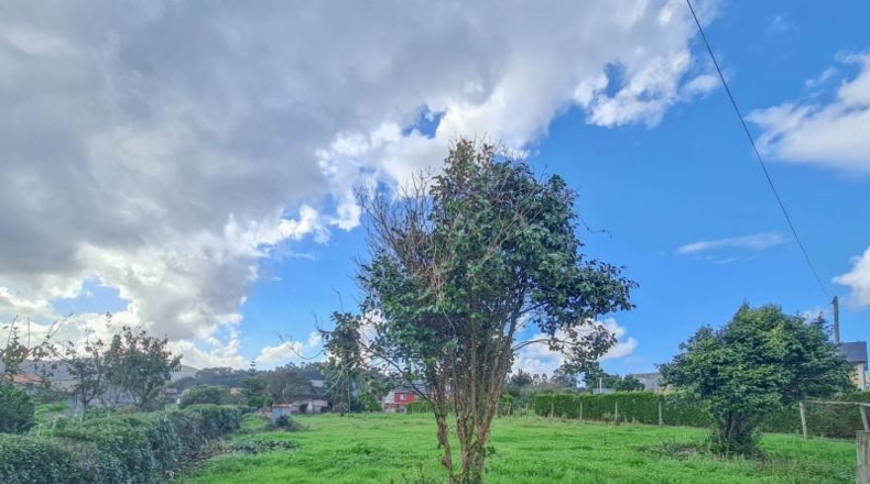 La Coruña - Carral - 1600m2