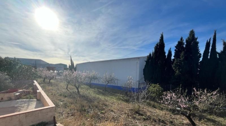 Valencia - la Font de la Figuera - 1800m2