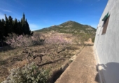 Xalet independent amb terreny en venda a la España, la Font de la Figuera, ref.: TR156910 foto
