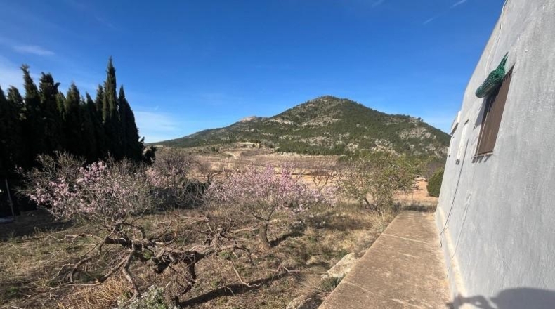 Valencia - la Font de la Figuera - 1800m2