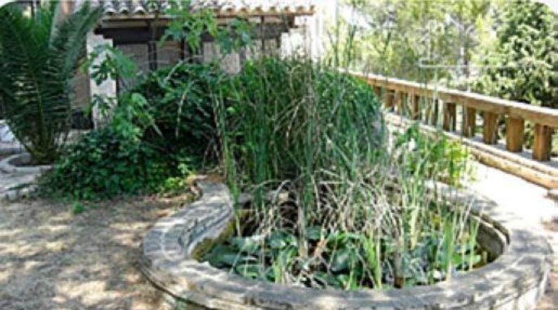 Valencia - Albaida - 1590m2