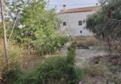 Casa de camp amb terreny en venda a la España, Petrer, ref.: TR158275 foto