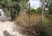 Casa de camp amb terreny en venda a la España, Petrer, ref.: TR158275 foto