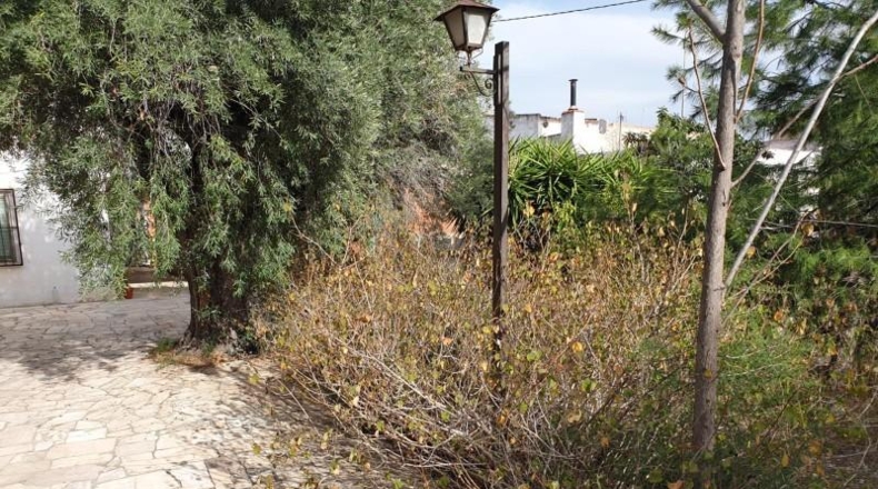 Alicante - Petrer - 950m2