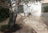 Casa de camp amb terreny en venda a la España, Petrer, ref.: TR158275 foto