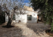 Casa de camp amb terreny en venda a la España, Petrer, ref.: TR158275 foto