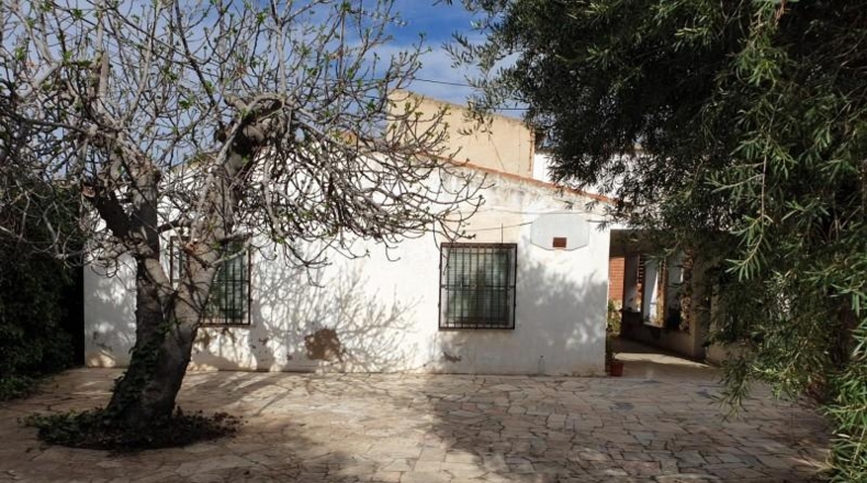 Alicante - Petrer - 950m2