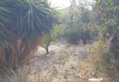 Casa de camp amb terreny en venda a la España, Petrer, ref.: TR158275 foto