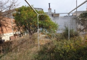 Casa de camp amb terreny en venda a la España, Petrer, ref.: TR158275 foto