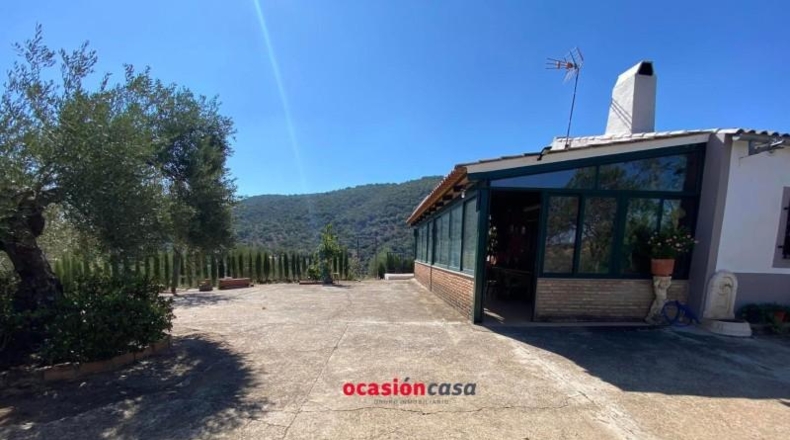 Córdoba - Villanueva del Rey - 15000m2