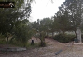 Finca rústica en venda a la España, Elx, ref.: TR293455 foto