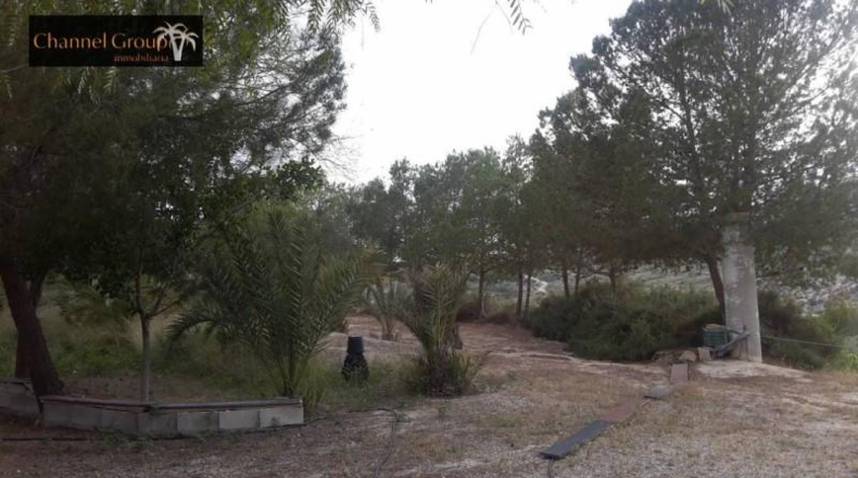 Аликанте - Elche - 14000m2
