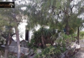 Finca rústica en venda a la España, Elx, ref.: TR293455 foto