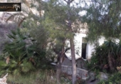 Finca rústica en venda a la España, Elx, ref.: TR293455 foto