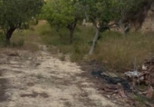 Finca rústica en venda a la España, Elx, ref.: TR293455 foto