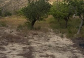 Finca rústica en venda a la España, Elx, ref.: TR293455 foto