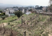 Городская земля под застройку на продажу у города Lliçà de Vall Фото