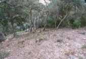 Land suitable for development for sale on España, Lloret de Mar, ref: TR126277 photo