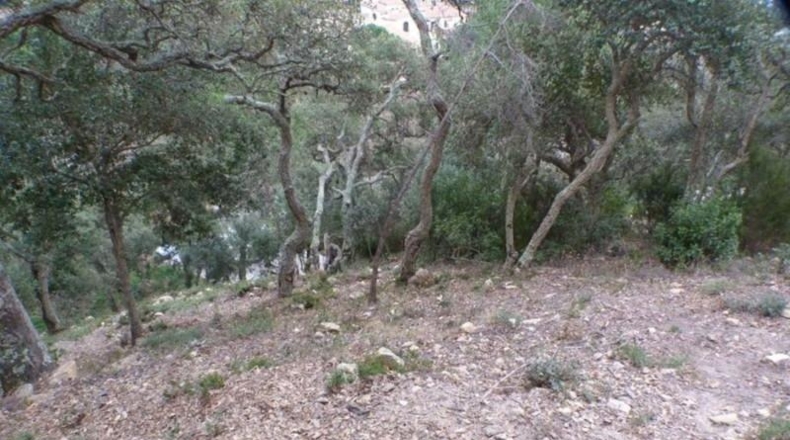 Gerona - Lloret de Mar - 1028m2