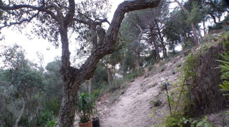 Gerona - Lloret de Mar - 1028m2