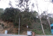 Land suitable for development for sale on España, Lloret de Mar, ref: TR126277 photo