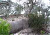 Land suitable for development for sale on España, Lloret de Mar, ref: TR126277 photo