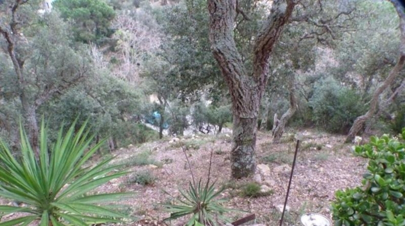 Gerona - Lloret de Mar - 1028m2