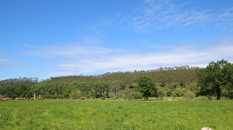 Cantàbria - Cabezón de la Sal - 8614m2