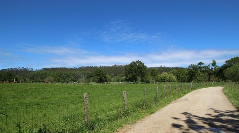 Cantàbria - Cabezón de la Sal - 8614m2