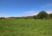 Non-developable land for sale on España, Cabezón de la Sal, ref: TR130567 photo