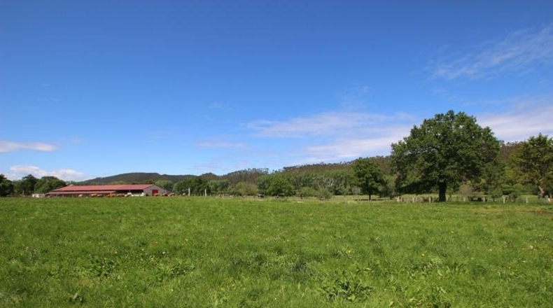Cantàbria - Cabezón de la Sal - 8614m2