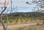 Finca rústica en venda a la España, Lorca, ref.: TR293417 foto