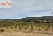 Finca rústica en venda a la España, Lorca, ref.: TR293417 foto