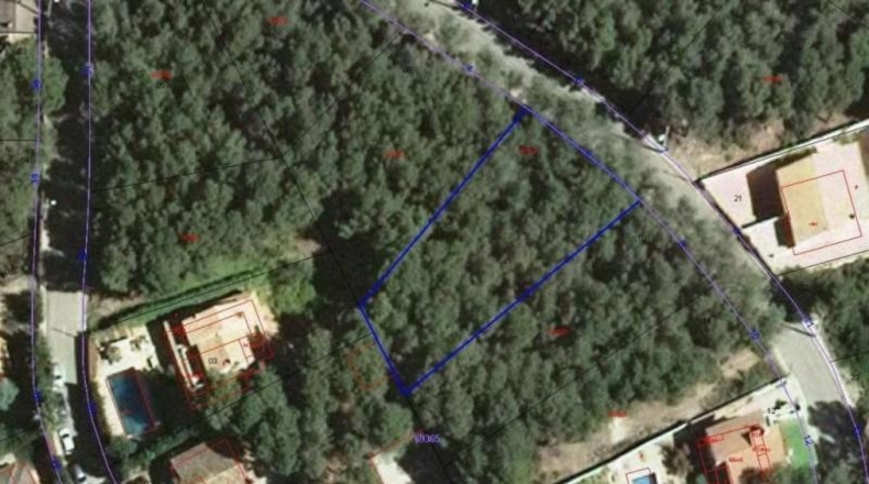 Barcelona - Olivella - 610m2