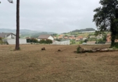 Terreny no urbanitzable en venda a la España, Arteixo, ref.: TR319265 foto