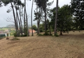 Terreny no urbanitzable en venda a la España, Arteixo, ref.: TR319265 foto