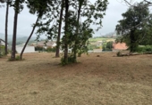 Terreny no urbanitzable en venda a la España, Arteixo, ref.: TR319265 foto