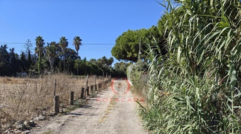 Cádiz - Rota - 2000m2