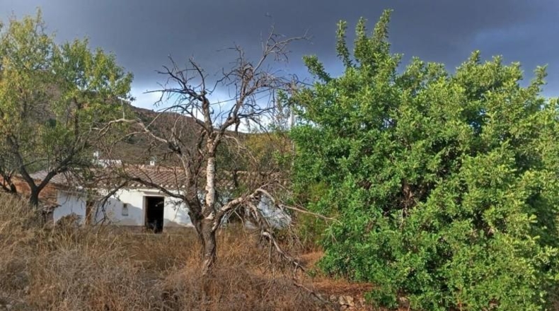 Almeria - Bédar - 1050m2