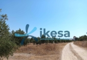 Parcel·la urbanitzable en venda a la España, Jódar, ref.: TR312599 foto