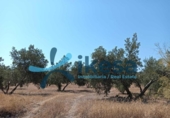 Parcel·la urbanitzable en venda a la España, Jódar, ref.: TR312599 foto