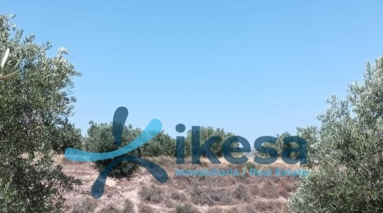 Jaén - Jódar - 186m2