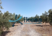Parcel·la urbanitzable en venda a la España, Jódar, ref.: TR312599 foto