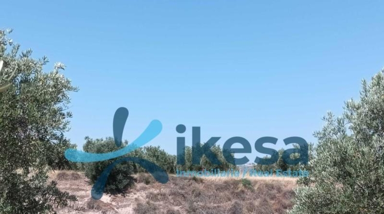 Jaén - Jódar - 186m2