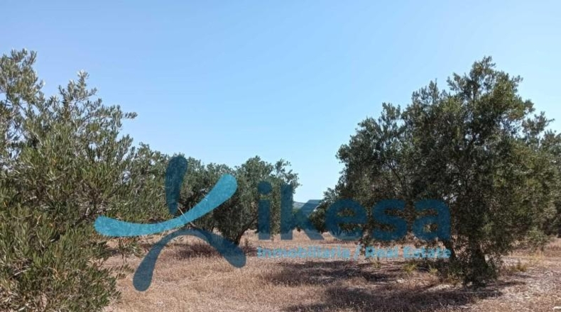 Jaén - Jódar - 186m2