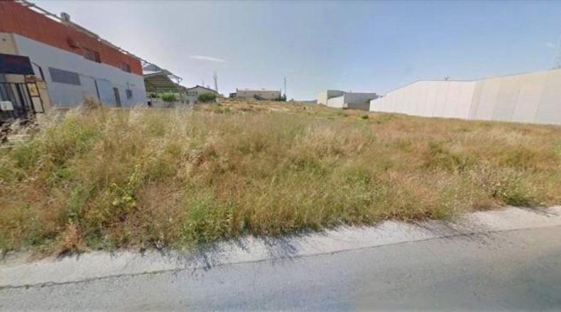 Murcia - Cehegín - 11323m2