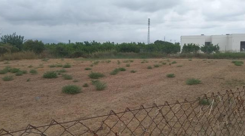 Alicante - Torrevieja - 2400m2