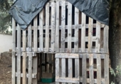 Отдельно стоящий дом с участком на продажу в городе Кордова Фото