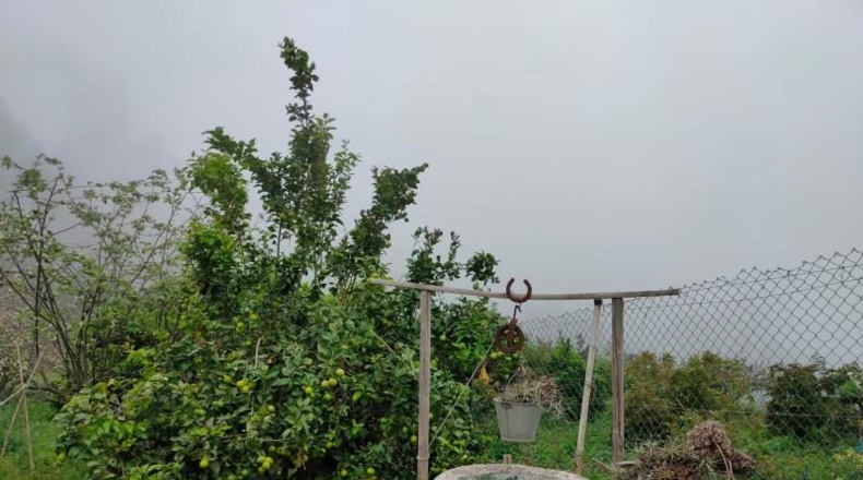 Santa Cruz de Tenerife - Palo Blanco - 700m2